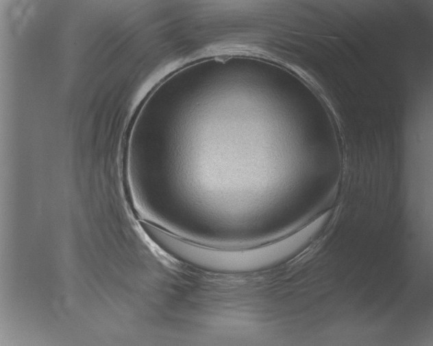 X0000076311438200610201601