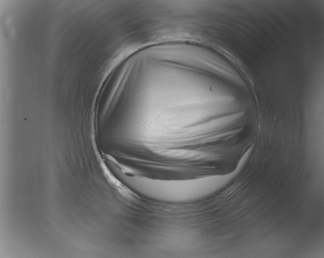 X0000076311439200610201601