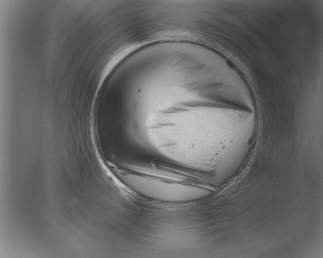 X0000076311440200610201601