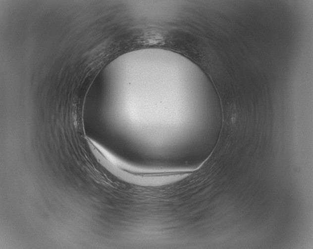 X0000076311442200610201600