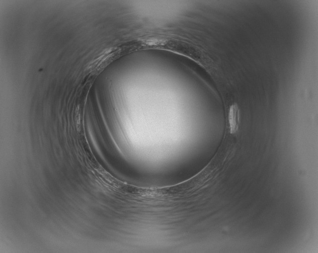 X0000076311443200610201600