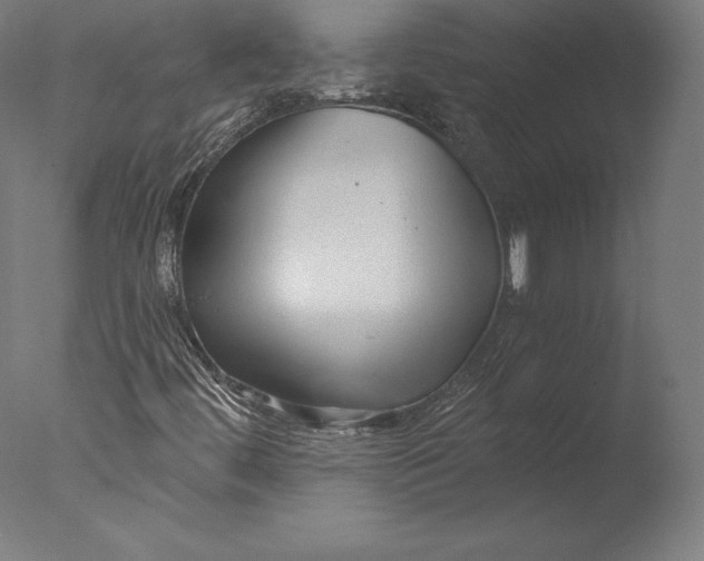 X0000076311444200610201600