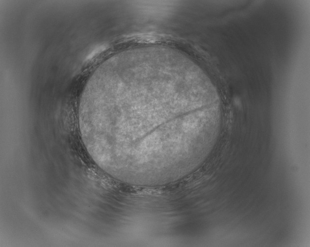 X0000076311446200610201600