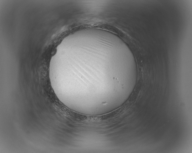 X0000076311447200610201600