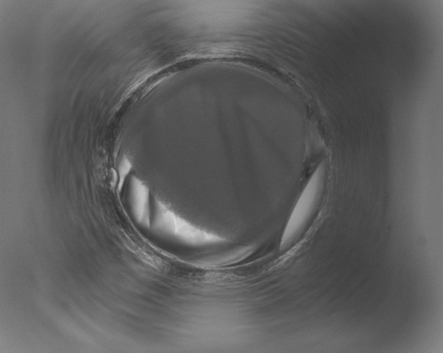 X0000076311449200610201600