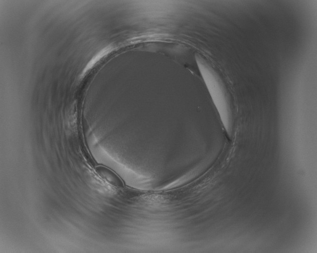 X0000076311450200610201600