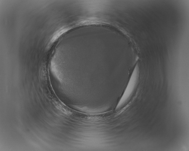 X0000076311453200610201600