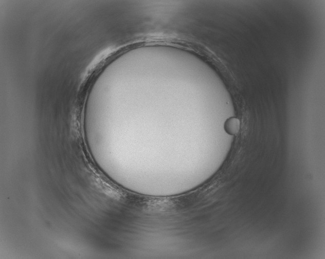 X0000076311454200610201600