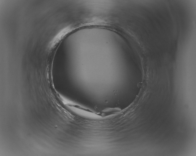 X0000076311455200610201600