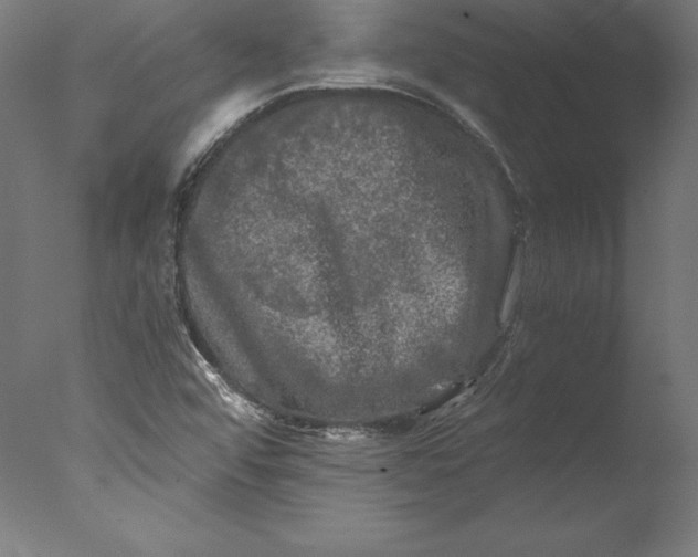 X0000076311456200610201600