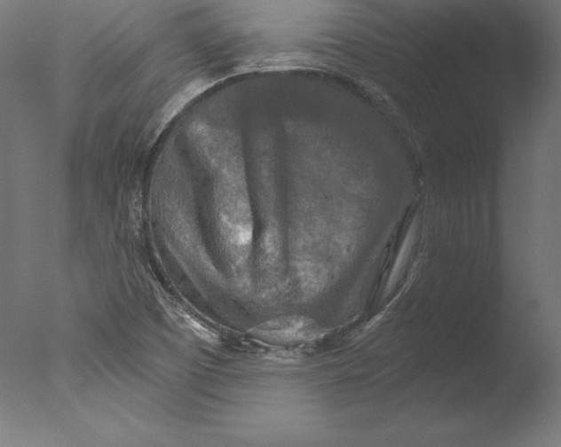 X0000076311457200610201600