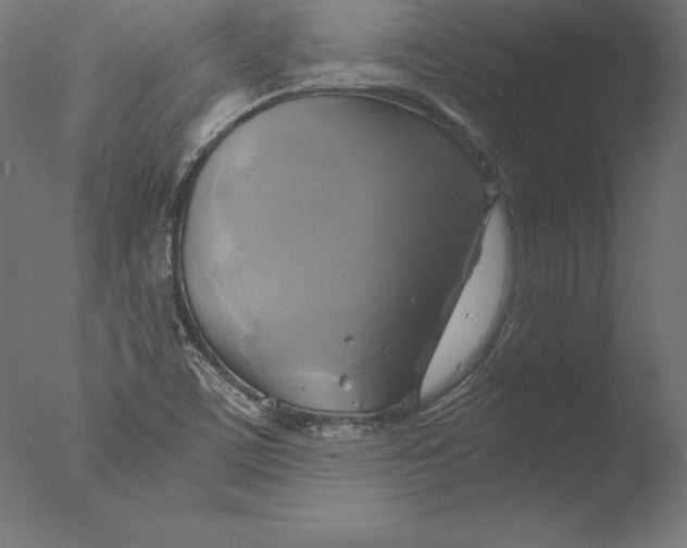 X0000076311459200610201600