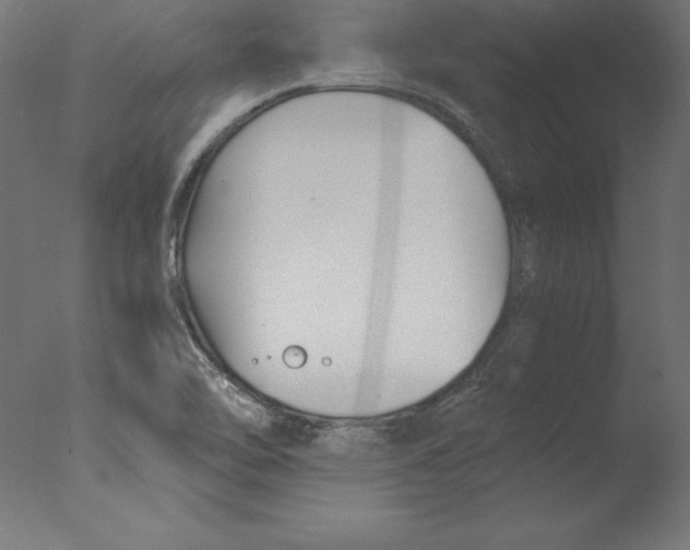 X0000076311462200610201600