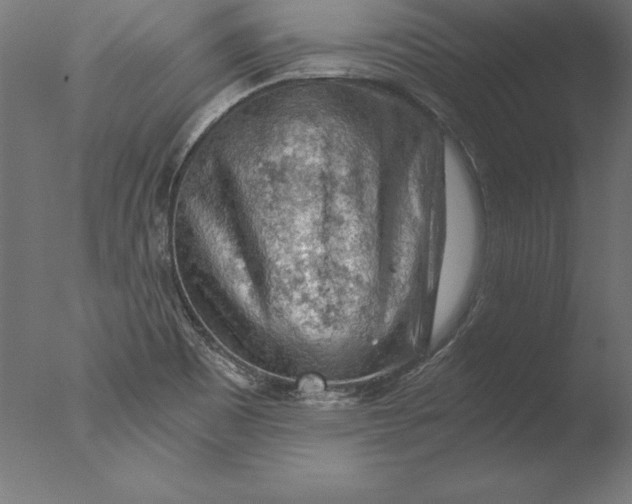 X0000076311465200610201600