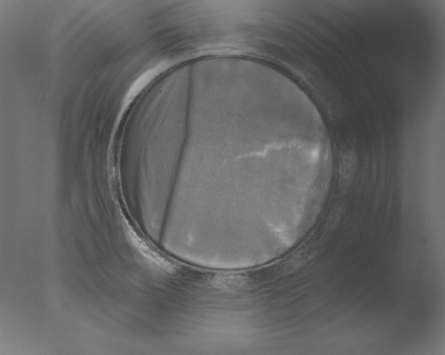 X0000076311466200610201600