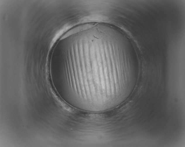 X0000076311469200610201600