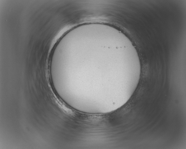 X0000076311470200610201600