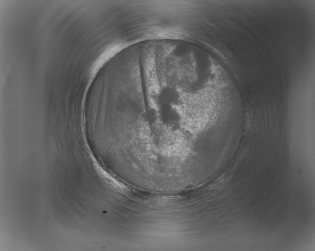 X0000076311471200610201600