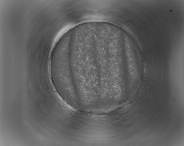 X0000076311472200610201600