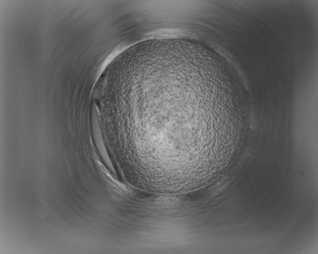 X0000076311473200610201600