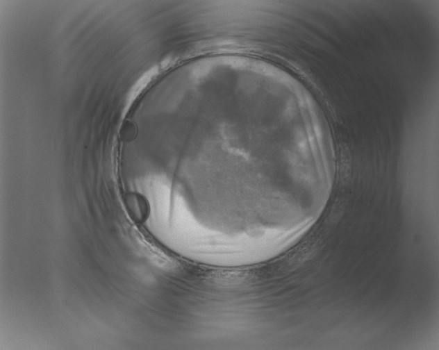 X0000076311474200610201600