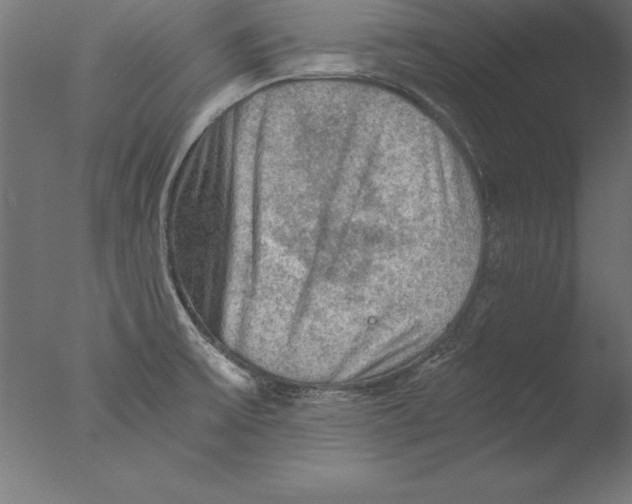 X0000076311475200610201600