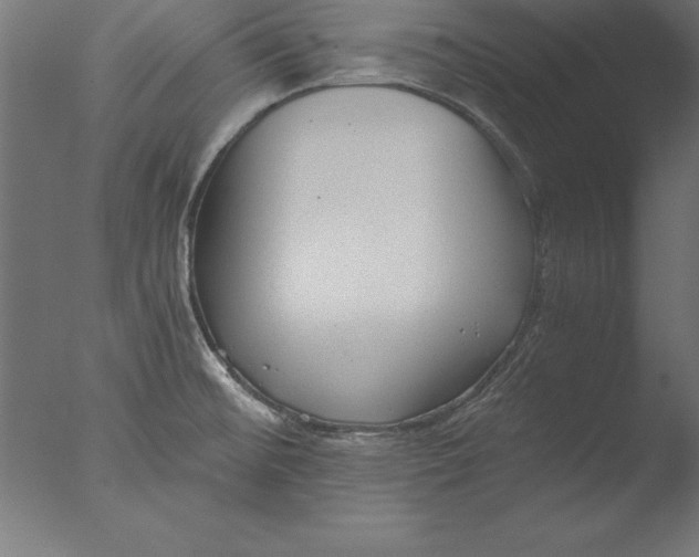 X0000076311476200610201600