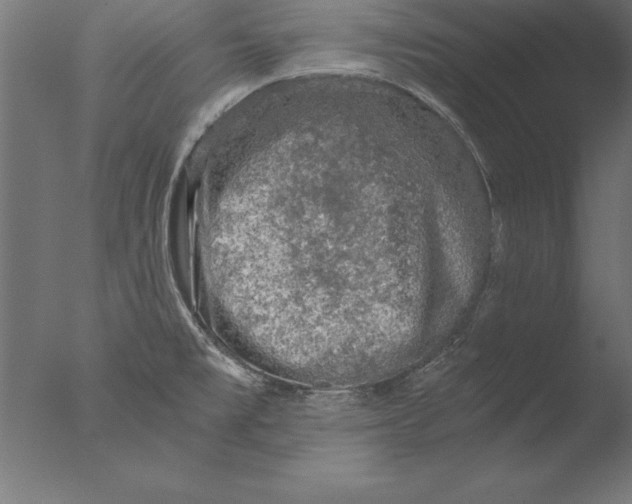 X0000076311477200610201600