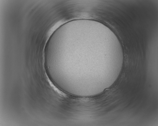 X0000076311479200610201559