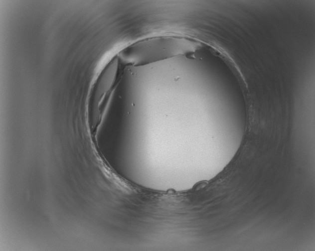 X0000076311480200610201559