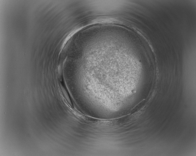 X0000076311481200610201559