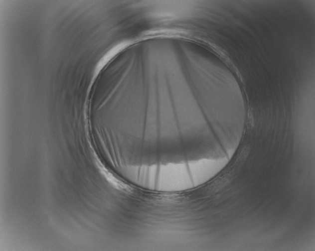 X0000076311482200610201559