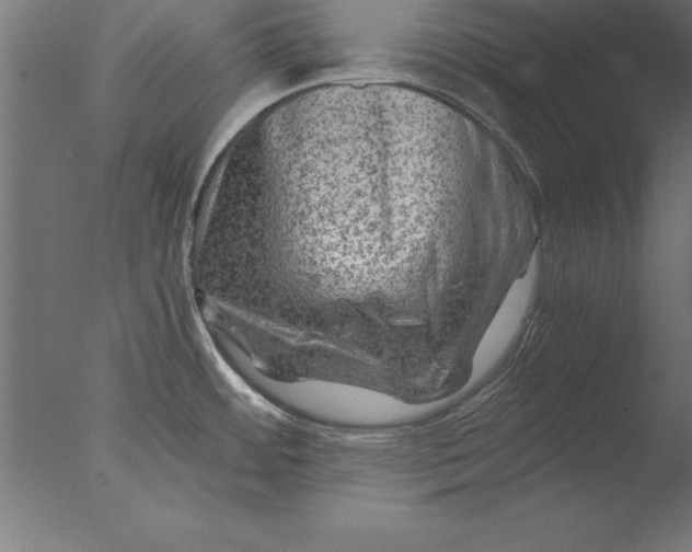 X0000076311484200610201559