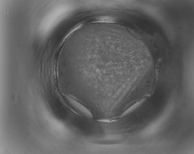 X0000076311487200610201559