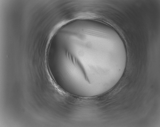 X0000076311488200610201559