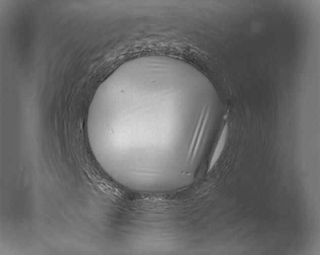 X0000076311489200610201559