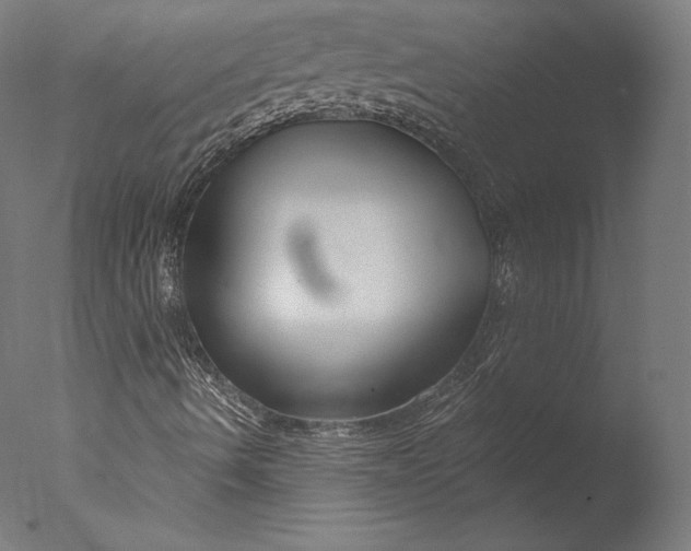 X0000076311490200610201559