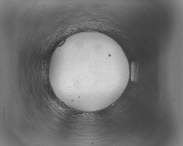 X0000076311491200610201559