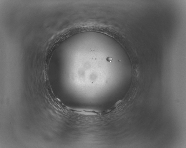 X0000076311493200610201559