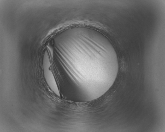 X0000076311494200610201559