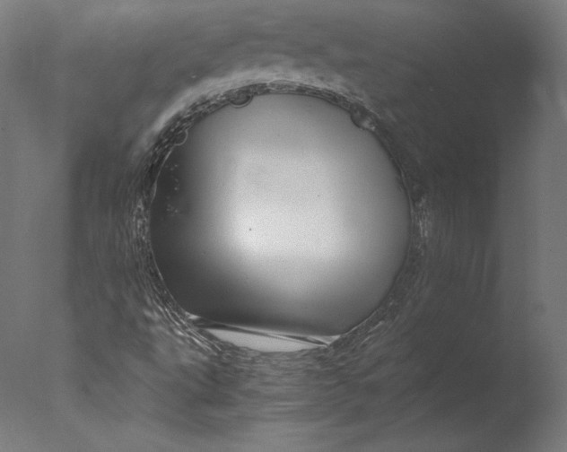 X0000076311495200610201559