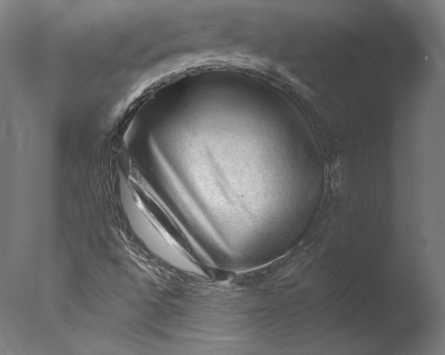 X0000076311496200610201559