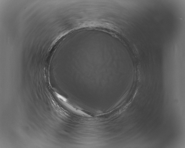 X0000076311497200610201559