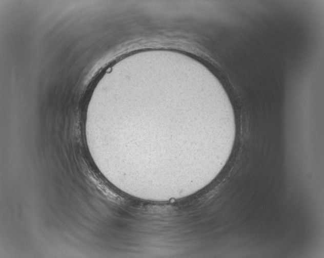 X0000076311498200610201559