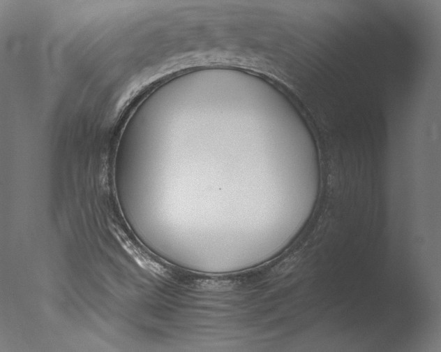 X0000076311499200610201559