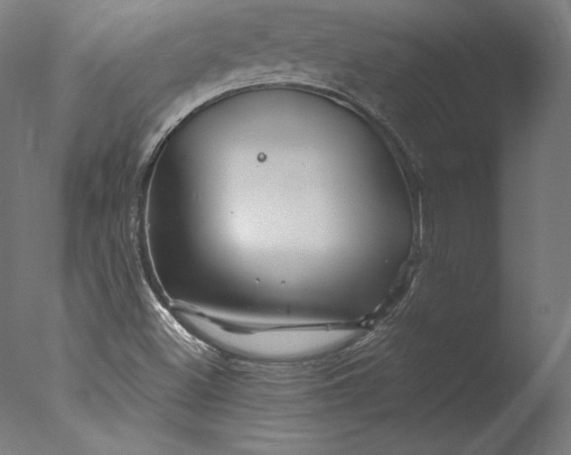 X0000076311500200610201559