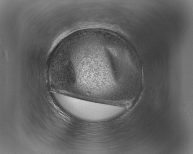 X0000076311501200610201559