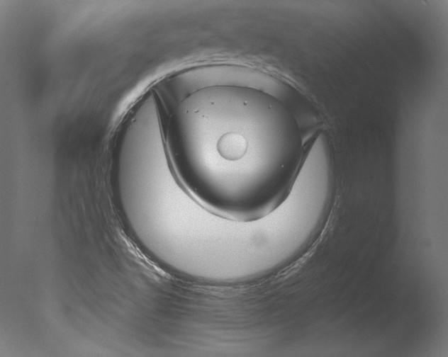 X0000076311502200610201559