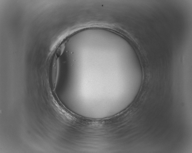 X0000076311504200610201559