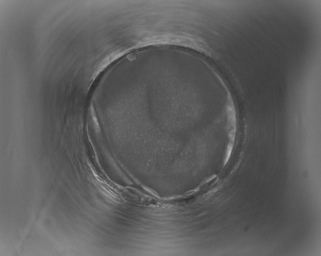 X0000076311505200610201559